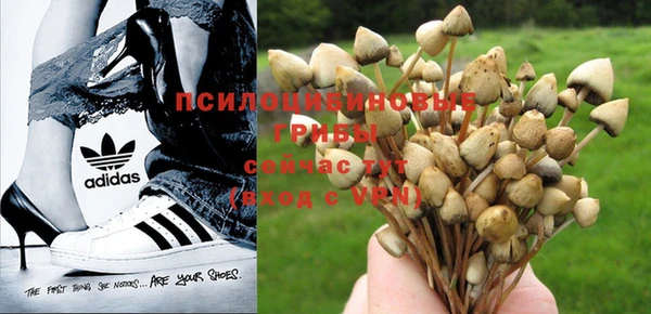каннабис Кинешма