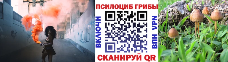 Псилоцибиновые грибы MAGIC MUSHROOMS  где можно купить   Кола 